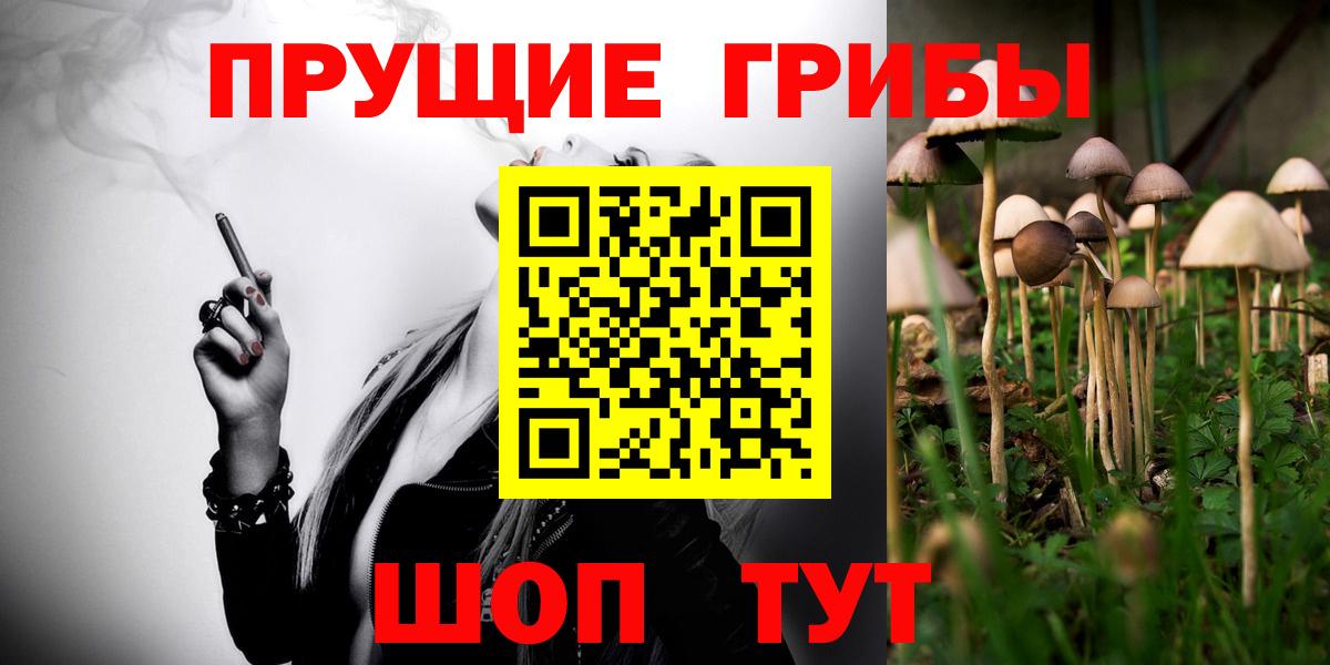 Псилоцибиновые грибы Cubensis Курчалой