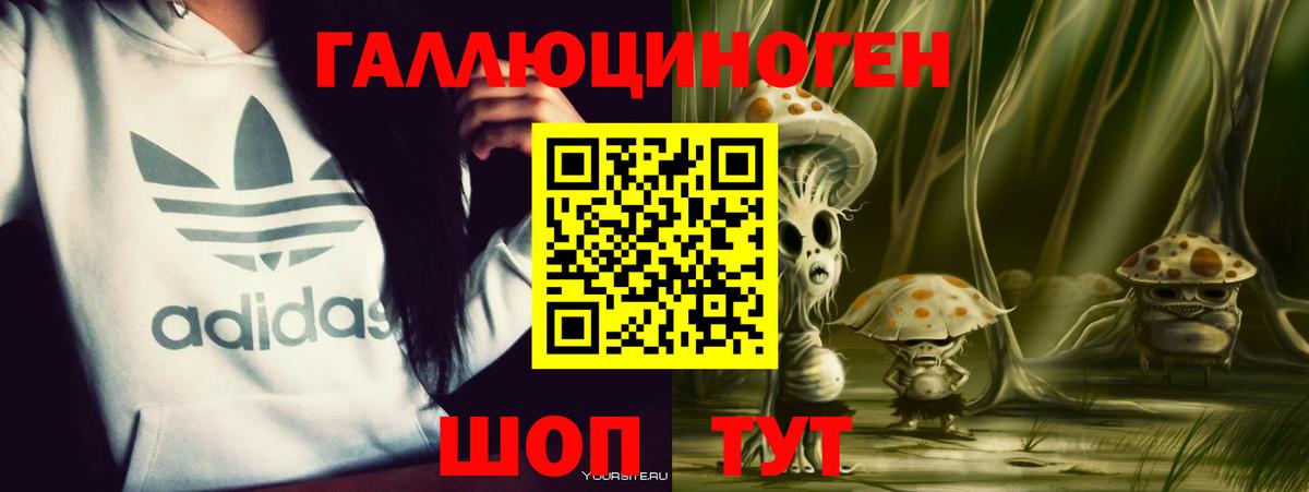 Курчалой  дарнет шоп  Вход с VPN  Галлюциногенные грибы ЛСД 